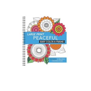 Large Print Easy Color & Frame Coloring Book