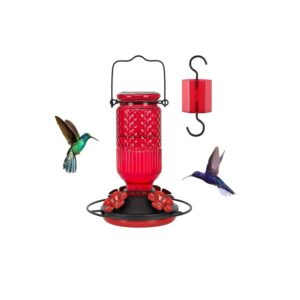 Glass Hummingbird Feeder